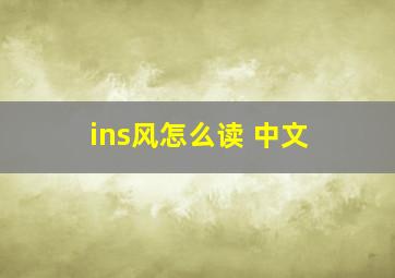 ins风怎么读 中文